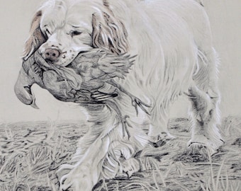 Stampa di caccia di Clumber Spaniel
