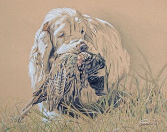 Stampa artistica di Clumber, caccia al fagiano