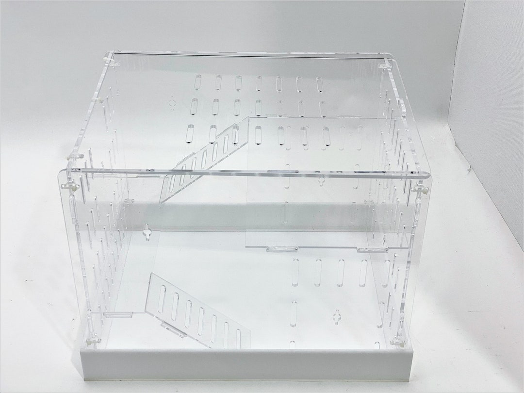 Image showcasing Extra Large Clear Acrylic Hamster Cage W/ White Acrylic Removable Base ...