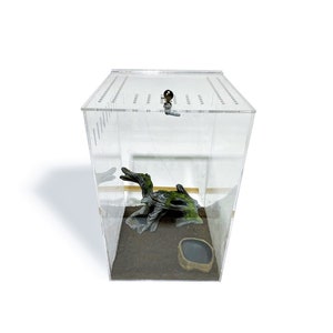 May include: A clear plastic terrarium with a brown and green plastic tree branch, a small brown bowl, and brown sand on the bottom.