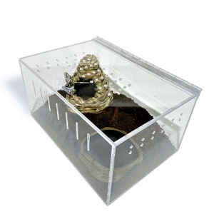May include: A clear acrylic terrarium with a hinged lid. Inside, there's a woven nest and a small water dish, all set on a bed of soil. The terrarium is designed for small pets.
