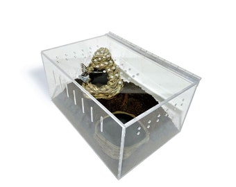 Small Clear Acrylic Lizard and Spider Cage