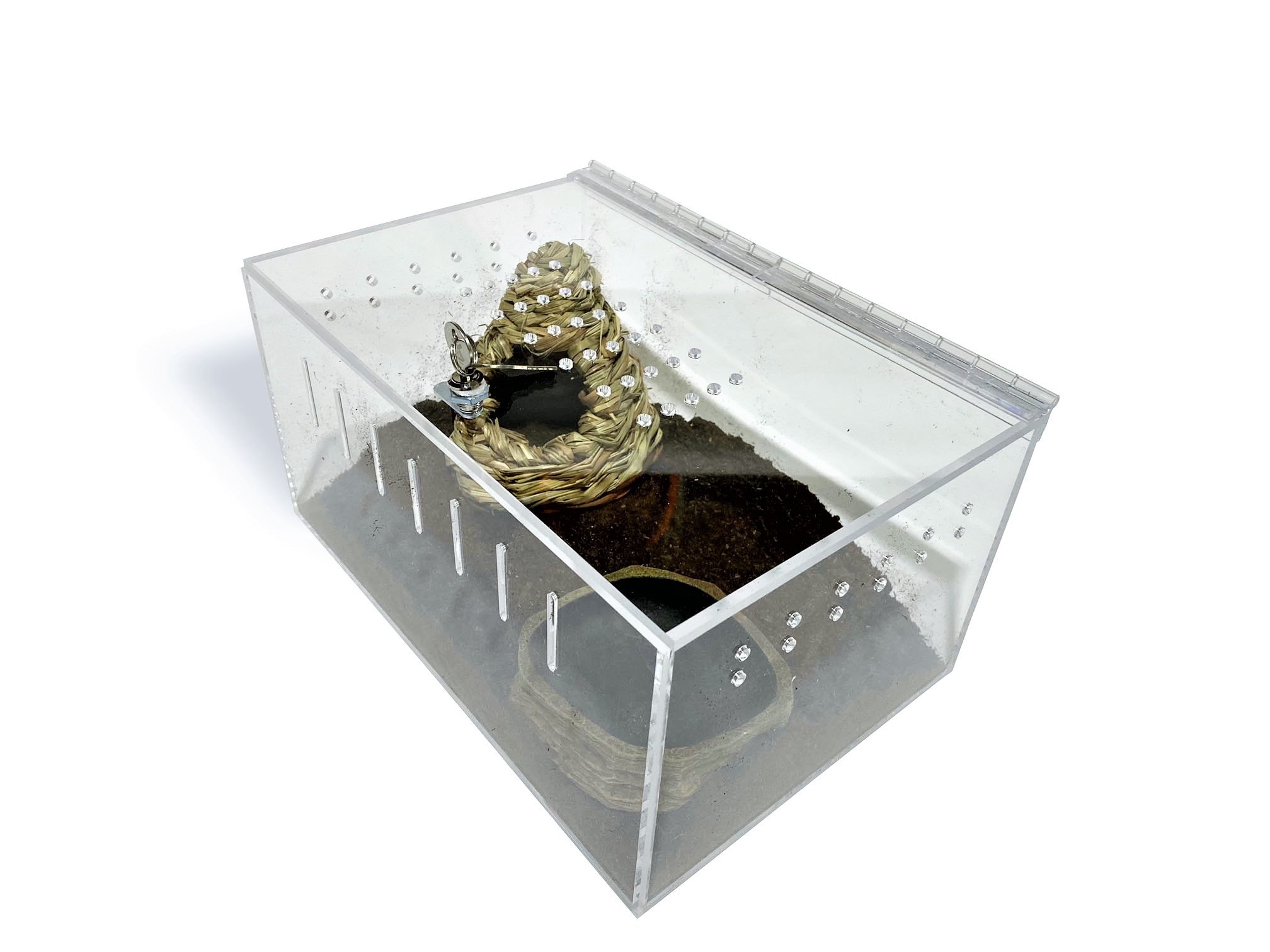 Small Clear Acrylic Lizard & Spider Cage