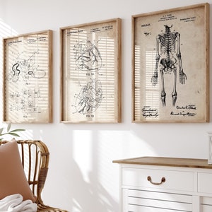 Anatomical Set Of 3 Patent Prints Anatomy Poster, Medical Student Gift, Muscle Poster, Doctor Gifts, Surgeon Wall Art, Nurse Decor