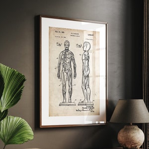 Anatomical Muscle 1961 Patent Print, Anatomy Poster, Medical Student Gift, Muscle Poster, Doctor Gifts, Surgeon Wall Art, Nurse Decor