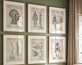 Anatomy Set Of 6 Patent Prints, Office Decor, Anatomical Muscle Poster, Clinic Wall Art, Medical Student Gifts For Doctors, Nurses, Surgeons