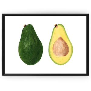 Vintage Avocado Print (Persea) 1937, Fruits Vegetable Kitchen Print Decor Wall Art Poster Gifts