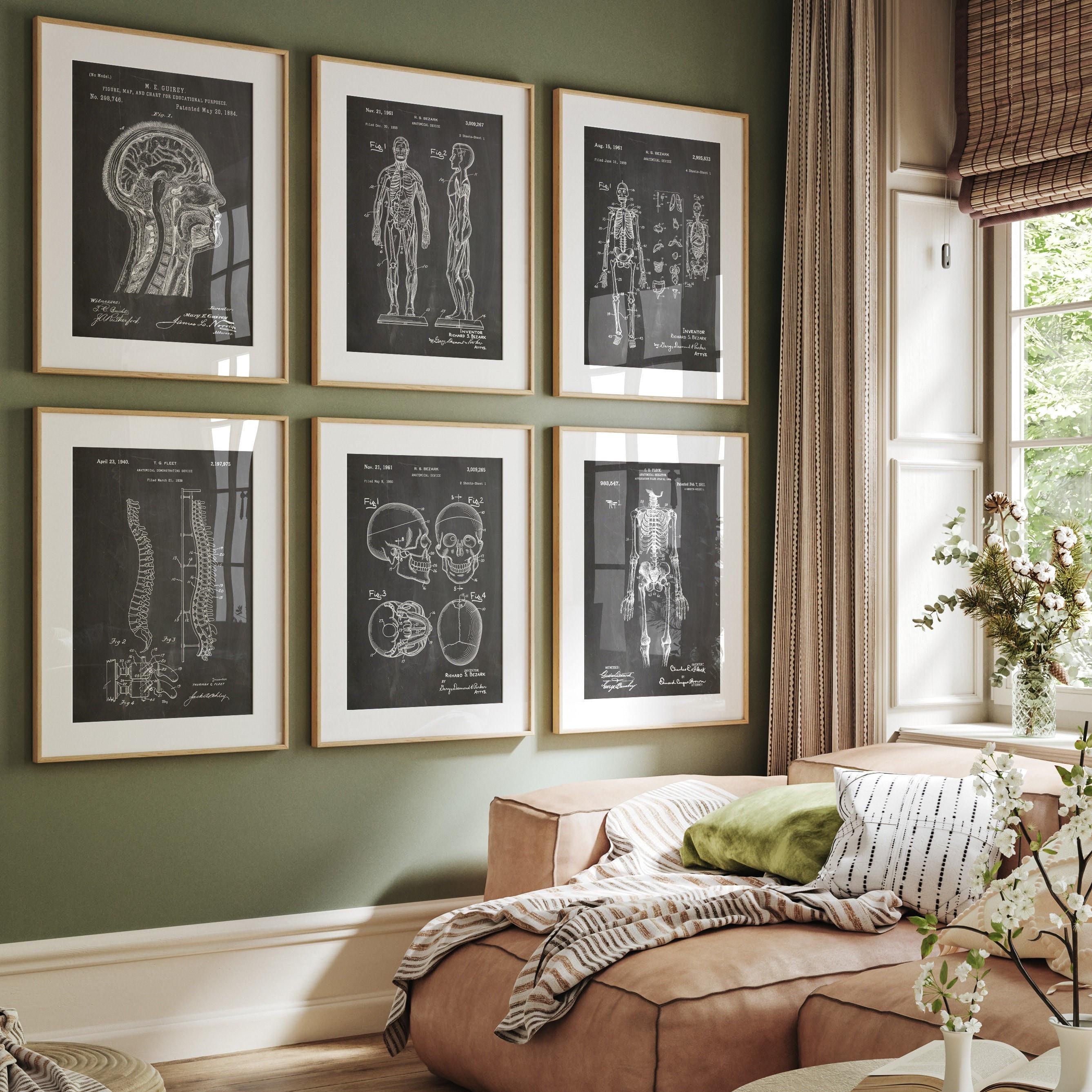 Anatomy Set of 6 Patent Prints: Vintage Medical Art, Clinic Decor - Etsy UK