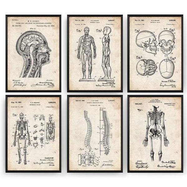 Medical School Etsy UK