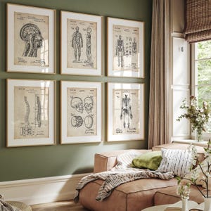 Anatomy Set Of 6 Patent Prints: Vintage Medical Art, Clinic Decor