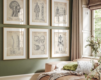 Anatomy Set Of 6 Patent Prints: Vintage Medical Art, Clinic Decor