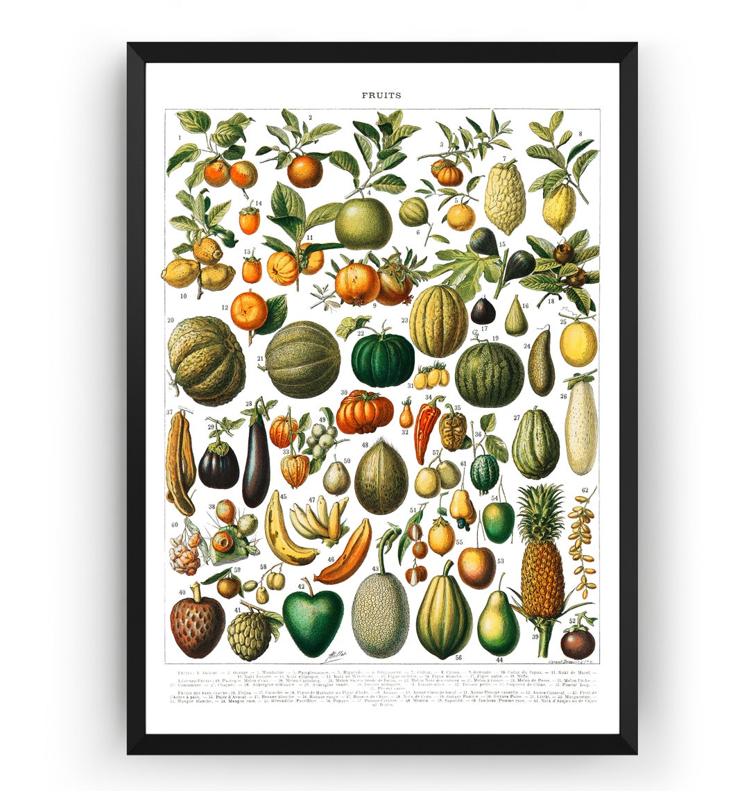 kitchen print set of 2 fruit print vegetable print... Fruit Print, Vintage Kitchen Art Print Vegetable Food Illustration ...