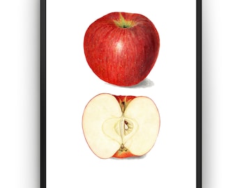 Küchendekor, Vintage Obst Kunstdruck, Esszimmer Wand, Apfel Poster Geschenk