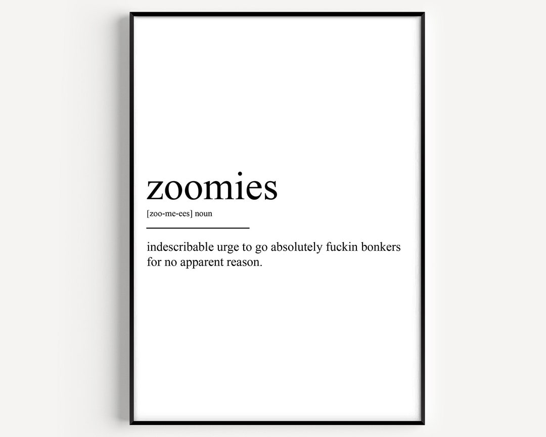 Zoomies Definition Print Etsy.de