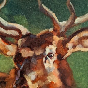 Original Hirsch Ölgemälde 13x18cm