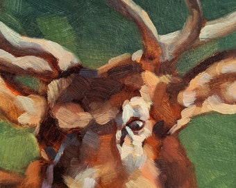Original Deer Oil Painting 5" x 7"