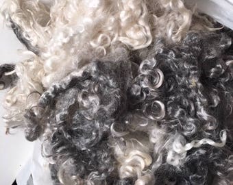 Mohair young angora goat fleece-Bi-color-cream and charcoal-washed 4 ounces