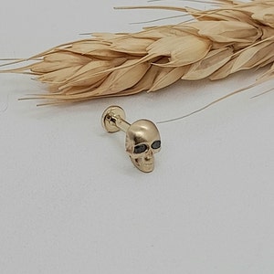 Cartilage Tragus Skull Design Diamond Piercing 14k Gold Helix Earring Piercing Jewelry Flat Back Piercing