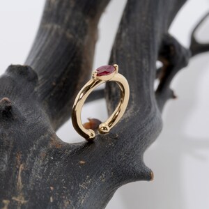 May include: A gold ring with a red gemstone set in the center. The ring is on a brown branch.