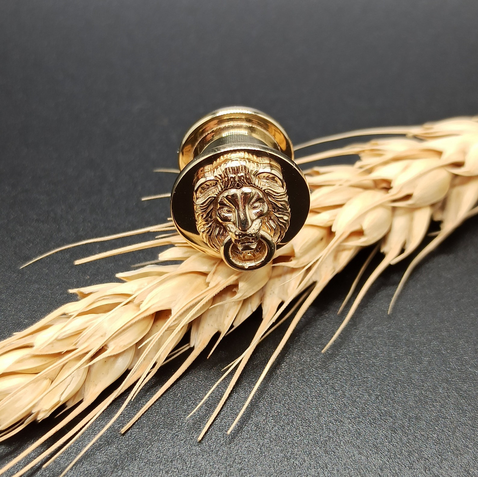 Lion Solid Gold Ear Tunnels Ear Gauges 14k Plugs Piercing Etsy