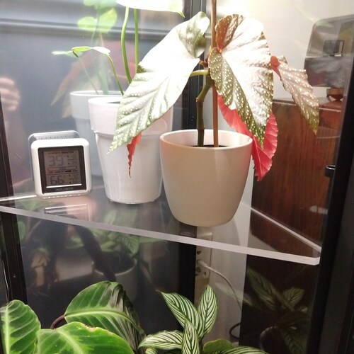 Ikea Greenhouse Acrylic Shelf 3/8 Thickness With Etsy