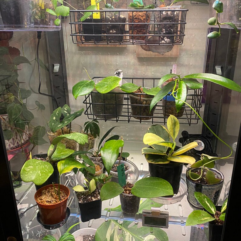 3/8 Thick Ikea Greenhouse Acrylic Shelf With Optional Etsy