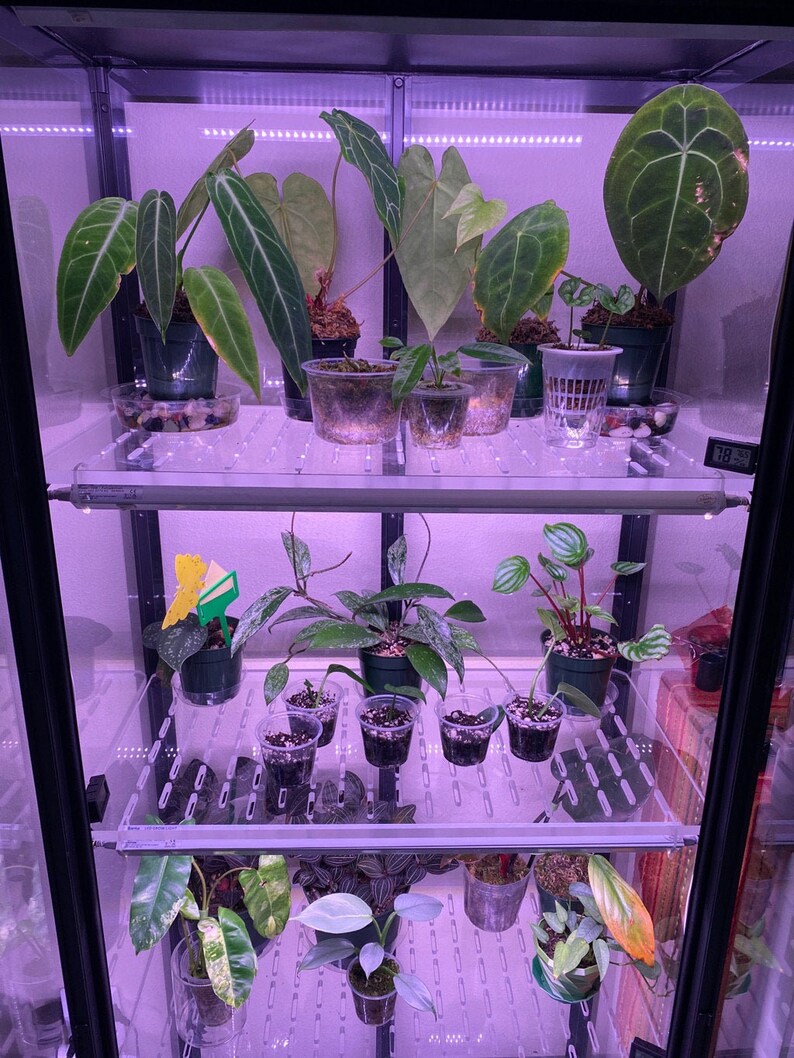 Ikea Greenhouse Acrylic Shelf 3/8 Thickness With Etsy