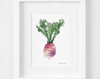 Purple Turnip Kitchen Art Root Vegetables, 5x7 Watercolor Wall Art Print, Watercolor Illustration Garden Wall Print, Kitchen Wall Decor