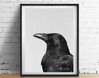 Raven printable | Etsy