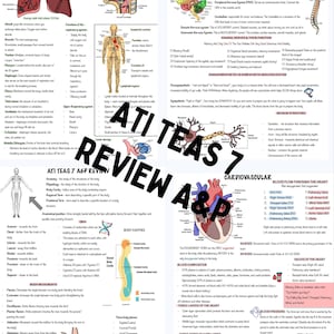 May include: A colourful study guide for the ATI TEAS 7 exam, focusing on anatomy and physiology. The guide includes diagrams of the respiratory, nervous, cardiovascular, and musculoskeletal systems, as well as explanations of key concepts and terms. The guide also includes a section on body cavities and movements.