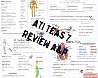 Overzicht anatomie en fysiologie van ATI TEAS 7 | studenten verpleegkunde | respiratoir | Cardiovasculair | basiskennis