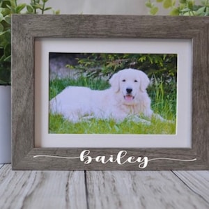 Personalized Pet Memorial Frame: Dog Cat Loss Gift
