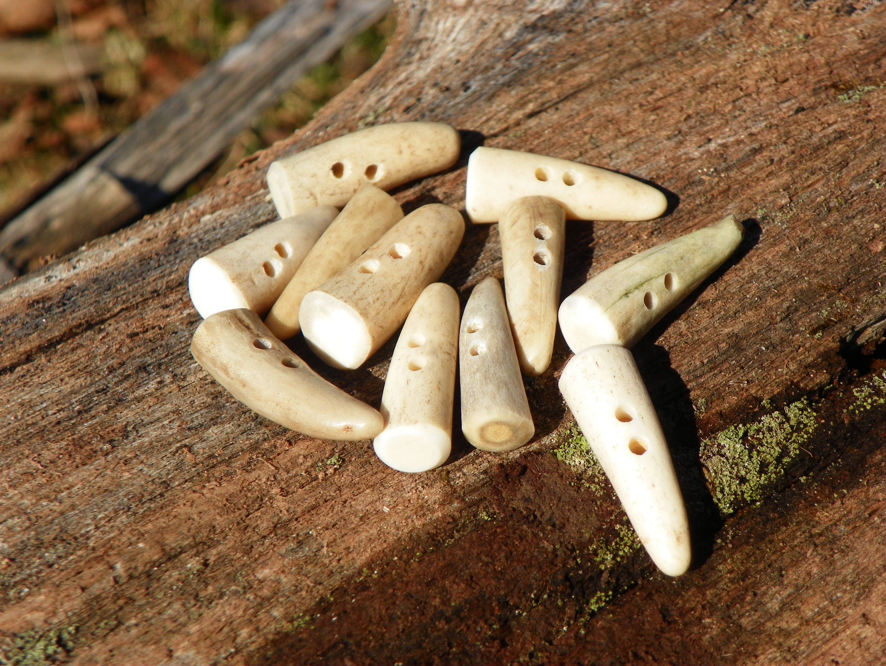  Natural Horn Toggles,Polish Tooth Horn for Coats