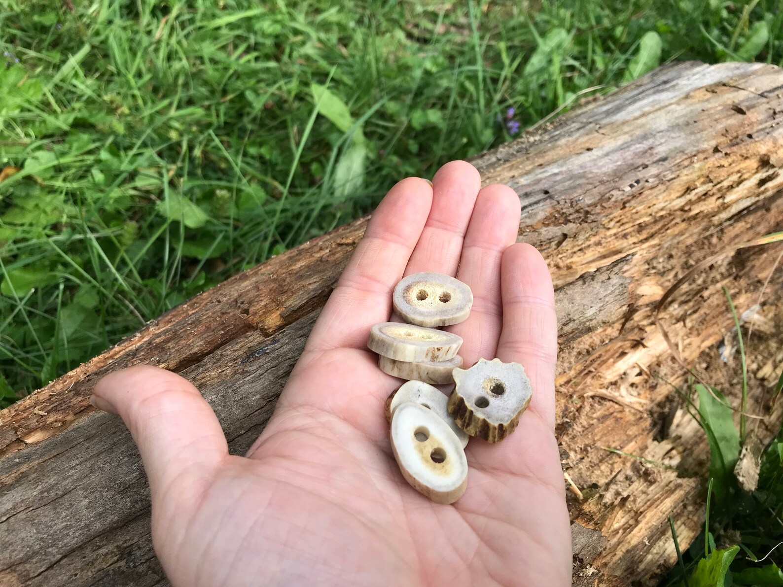 Antler Button Large Buttons Natural Deer Antler Buttons With Etsy