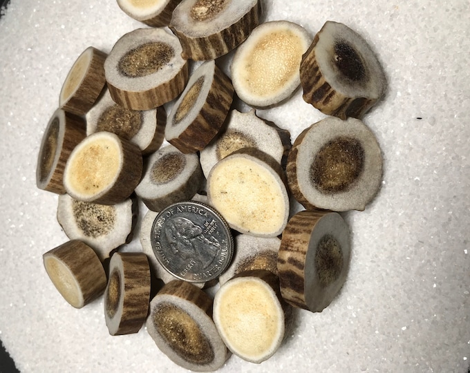 5 Ct. Deer Antler Bead Blanks, DIY Pendant, Bone Bead, Bone Embellishment, Antler Carving Supply, Large Rune Blanks, Woodland Crafting