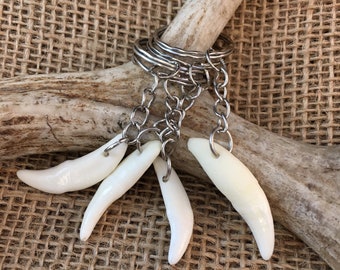 Coyote Tooth Key Chain, Woodland Hunters Gift For Him, Natural Coyote Teeth Bone