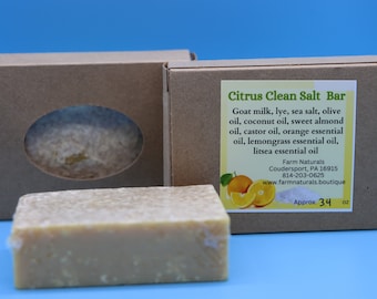 Goat Milk Soap, Citrus Clean Salt Bar, Great For Fisherman Or the Kitchen