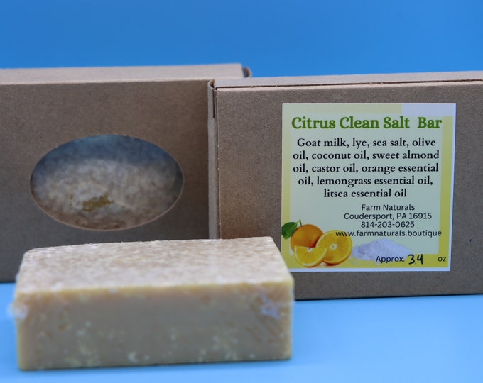 Goat Milk Soap, Citrus Clean Salt Bar, Great For Fisherman Or the Kitchen