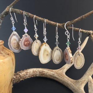 May include: A set of six pairs of earrings featuring antler slices and crystal accents. Each pair has a different coloured crystal, including blue, purple, clear, green, and pink.