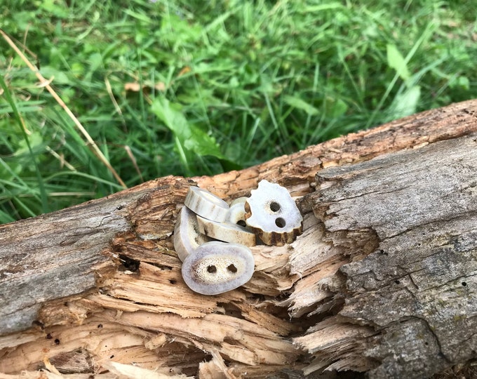 Large Natural Deer Antler Buttons For Crafting and Jewelry Making