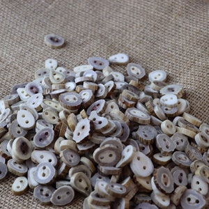 Deer Antler Button, 2 ct. Large Thread Hole, Natural Deer Antler