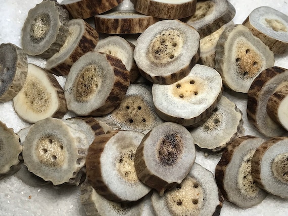 Antler Buttons, 4 ct. Medium Lg. Natural Deer Antler Bone Buttons/Crafting/Sewing/Knitting/Crochet/Woodland Country Organic Eco-Friendly
