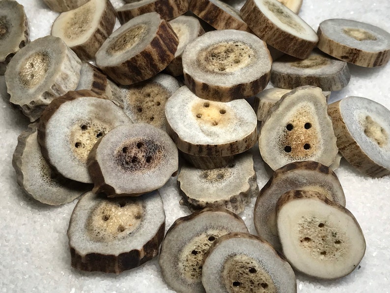 Antler Buttons, 4 ct. Medium Lg. Natural Deer Antler Bone Buttons/Crafting/Sewing/Knitting/Crochet/Woodland Country Organic Eco-Friendly image 5