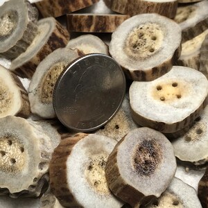 Antler Buttons, 4 ct. Medium Lg. Natural Deer Antler Bone Buttons/Crafting/Sewing/Knitting/Crochet/Woodland Country Organic Eco-Friendly image 9