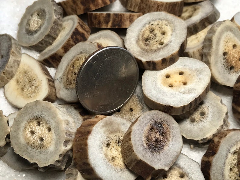 Antler Buttons, 4 ct. Medium Lg. Natural Deer Antler Bone Buttons/Crafting/Sewing/Knitting/Crochet/Woodland Country Organic Eco-Friendly image 9