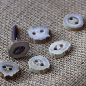 Deer Antler Button, 2 ct. 1 Inch Deer Antler Button with Large Thread Holes.
