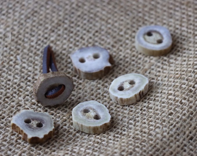 Deer Antler Button, 1 ct. 1 Inch Deer Antler Button with Large Thread Holes.