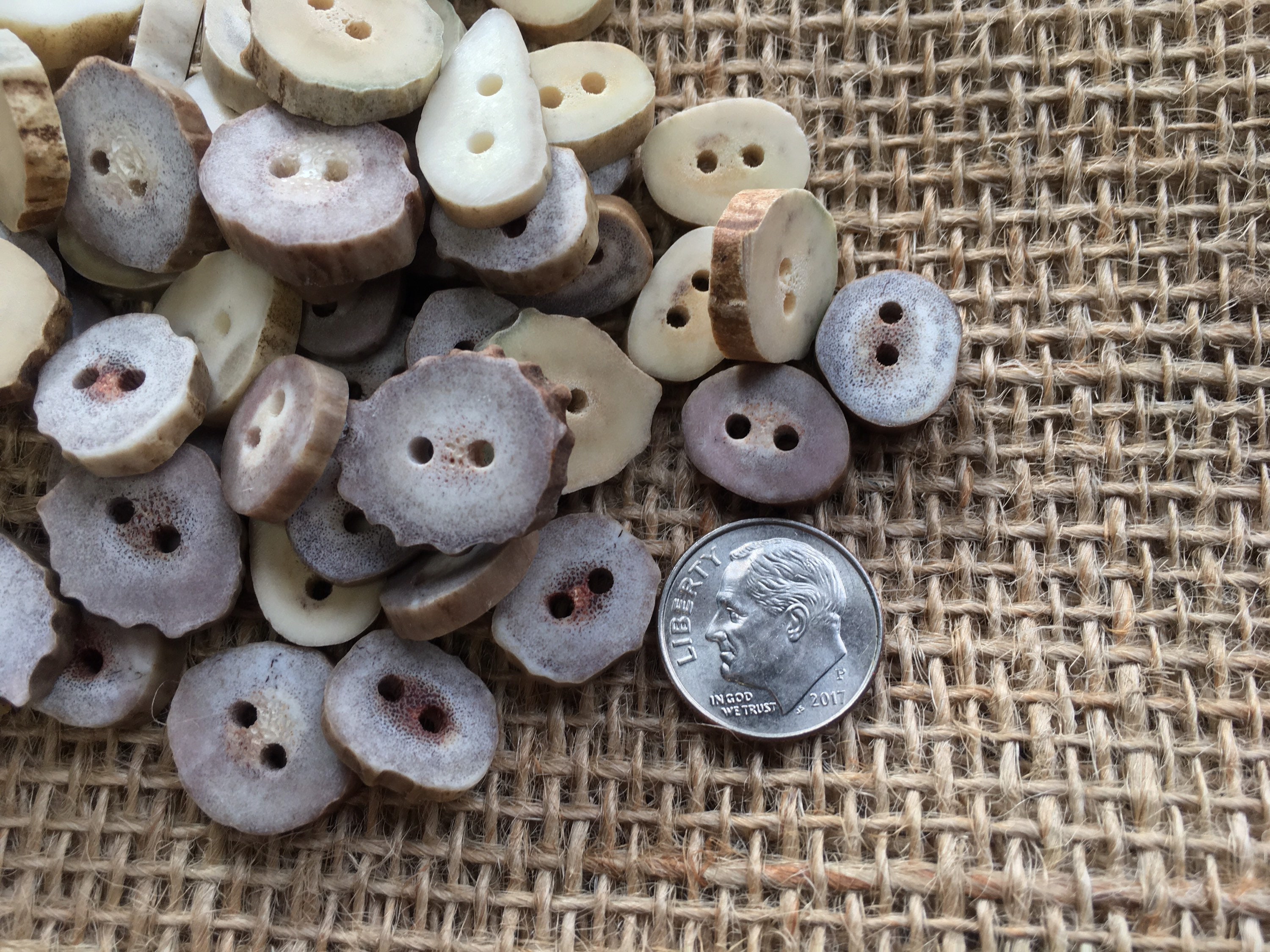 25 Mini Antler Buttons, Bulk Lot Natural Deer Antler Crafting