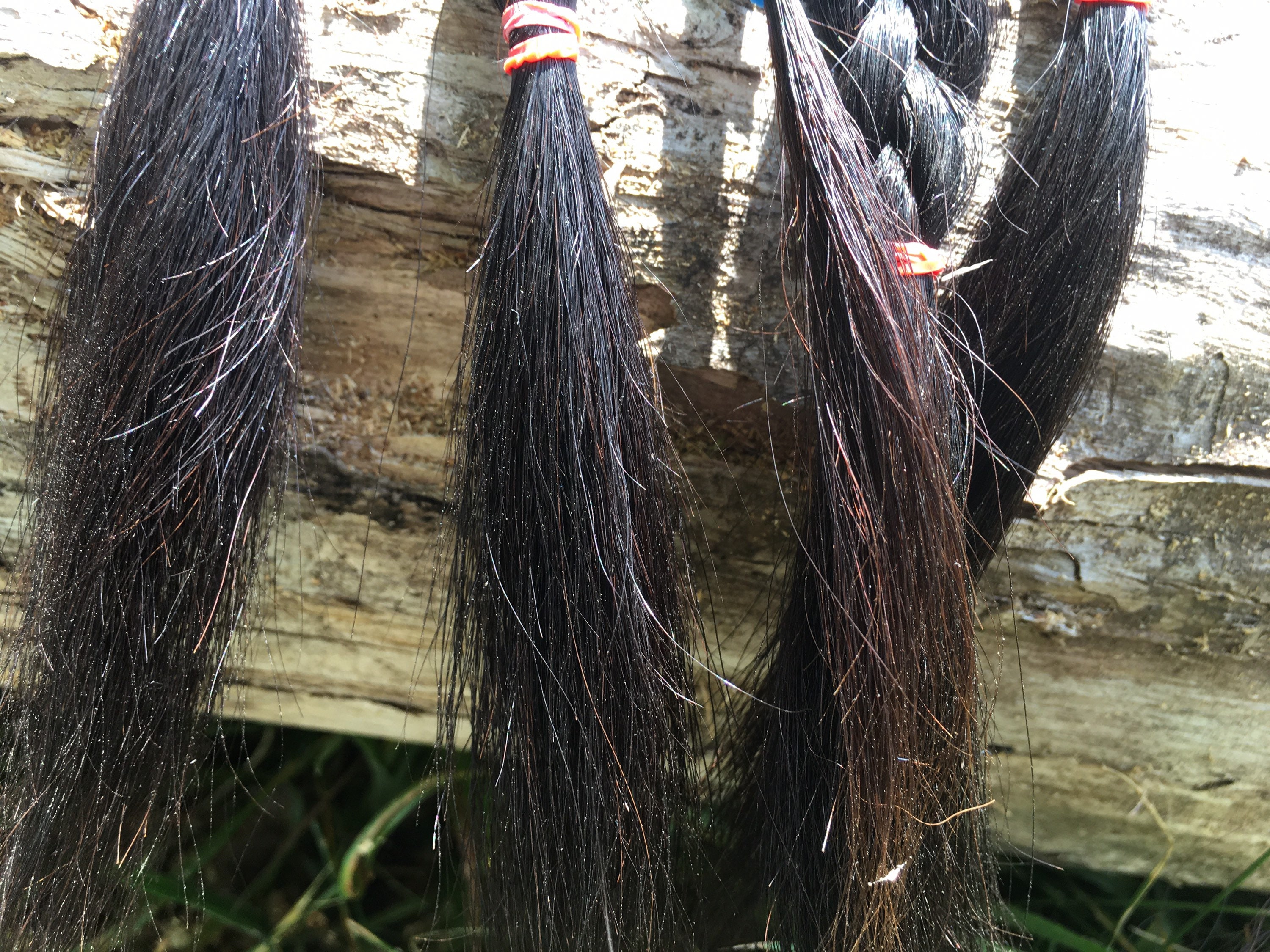 Horse Hair, Mane, 1.5 Ounces, Crafting Supply, Jewelry Making, Natural