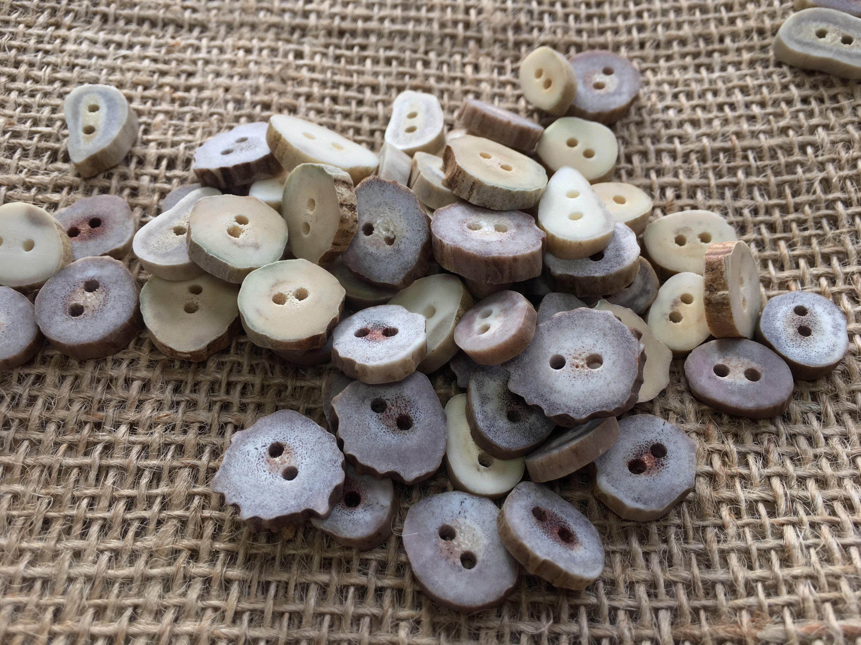 25 Mini Antler Buttons, Bulk Lot Natural Deer Antler Crafting